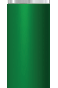 004 P / 006 P